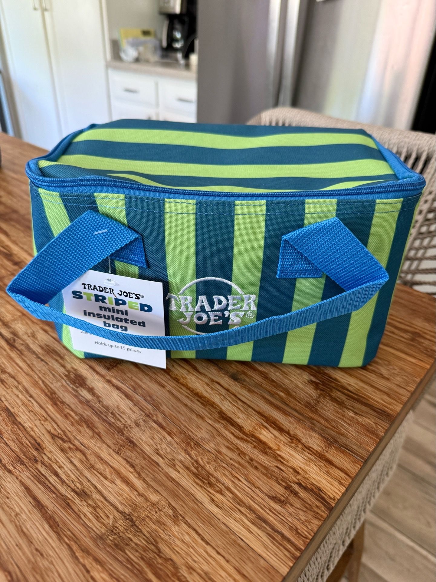 Trader Joes Green STRIPED Mini Insulated Tote Lunch Box Cooler