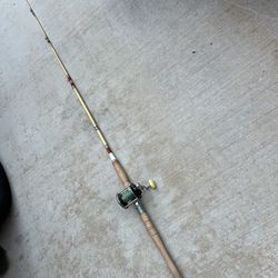 Fishing Rod With Penn Reel 77 Inc Tall