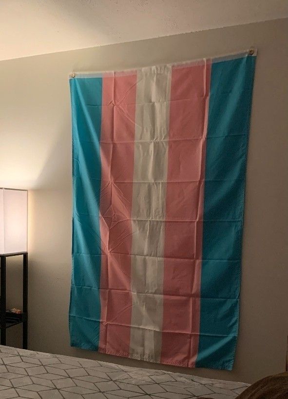 Transgender Flag