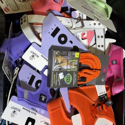 Storage Bin Filled With Dog Toys, Leashes, Harnesses, And Other Accessories