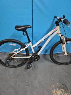 SPECIALIZED