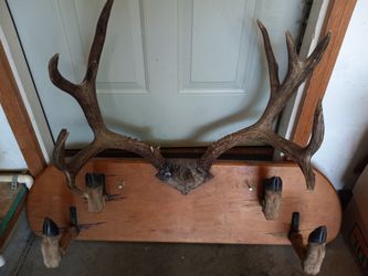 Gun Rack Hand Made.