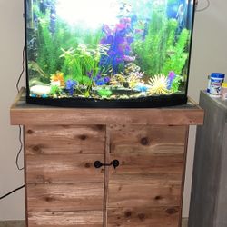 Custom Fish Tanks