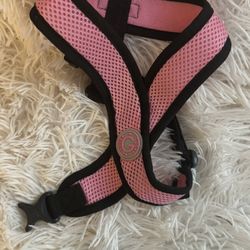  Dog Harnesses 
