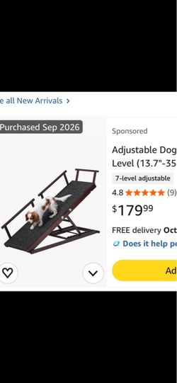 Doggy ramp