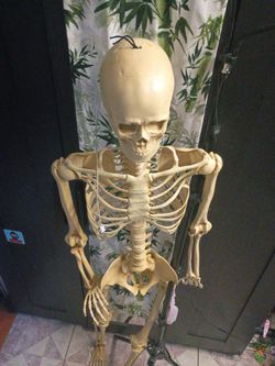 Skeleton decorations