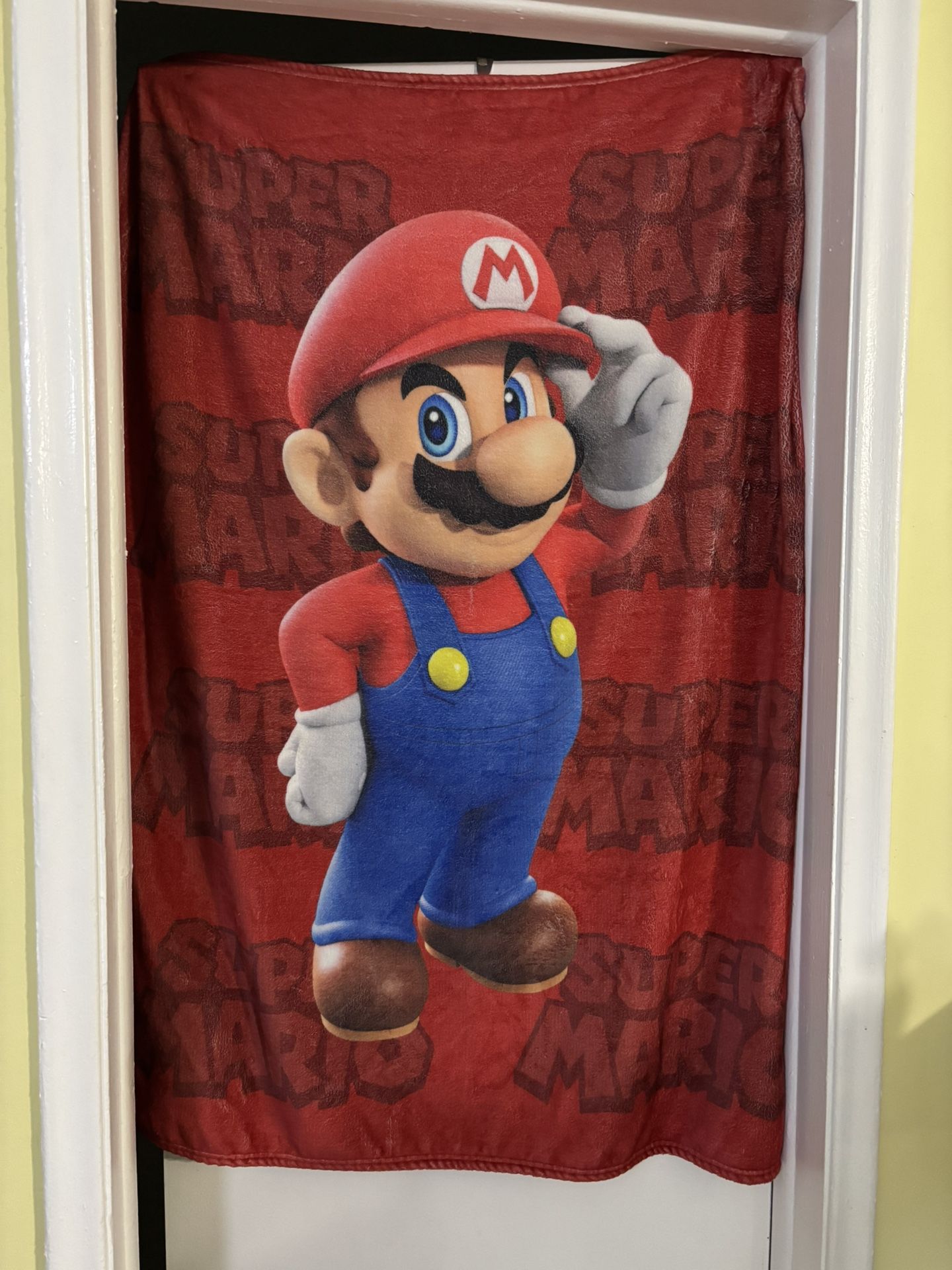 Used Mario Throw 38” X 50”