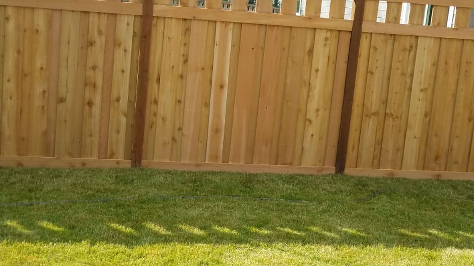 Cedar Fence