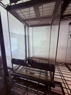 Terrarium 12x12x18 Tall