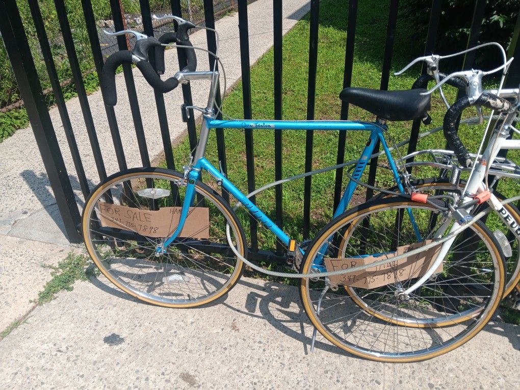 Blue Bike Is $180, and the White One is $100