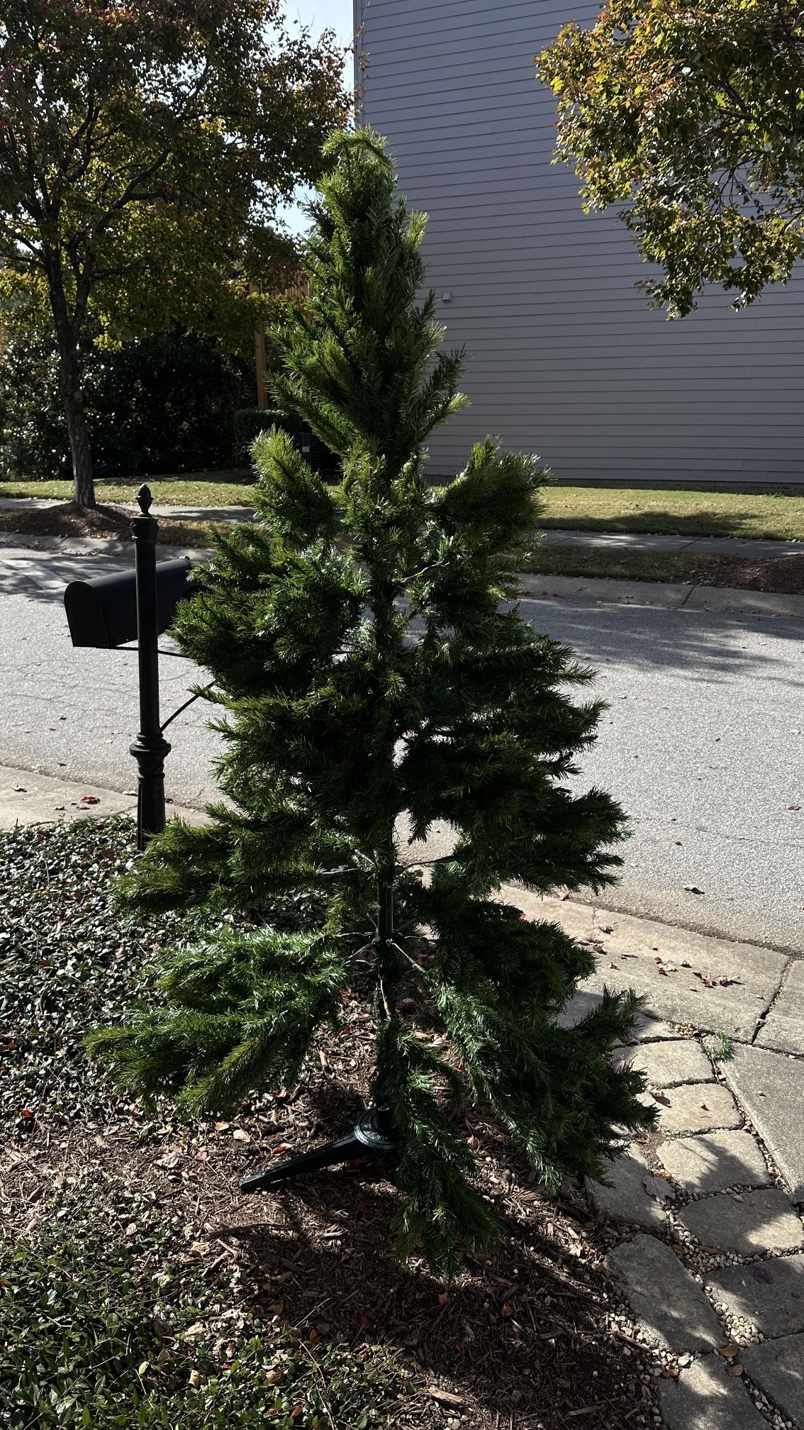 Christmas Tree For Sale