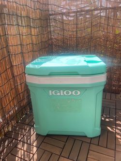Igloo Cooler