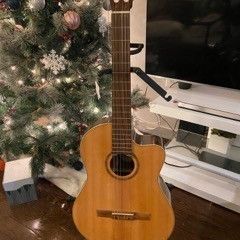 Sierra Classic Guitar 