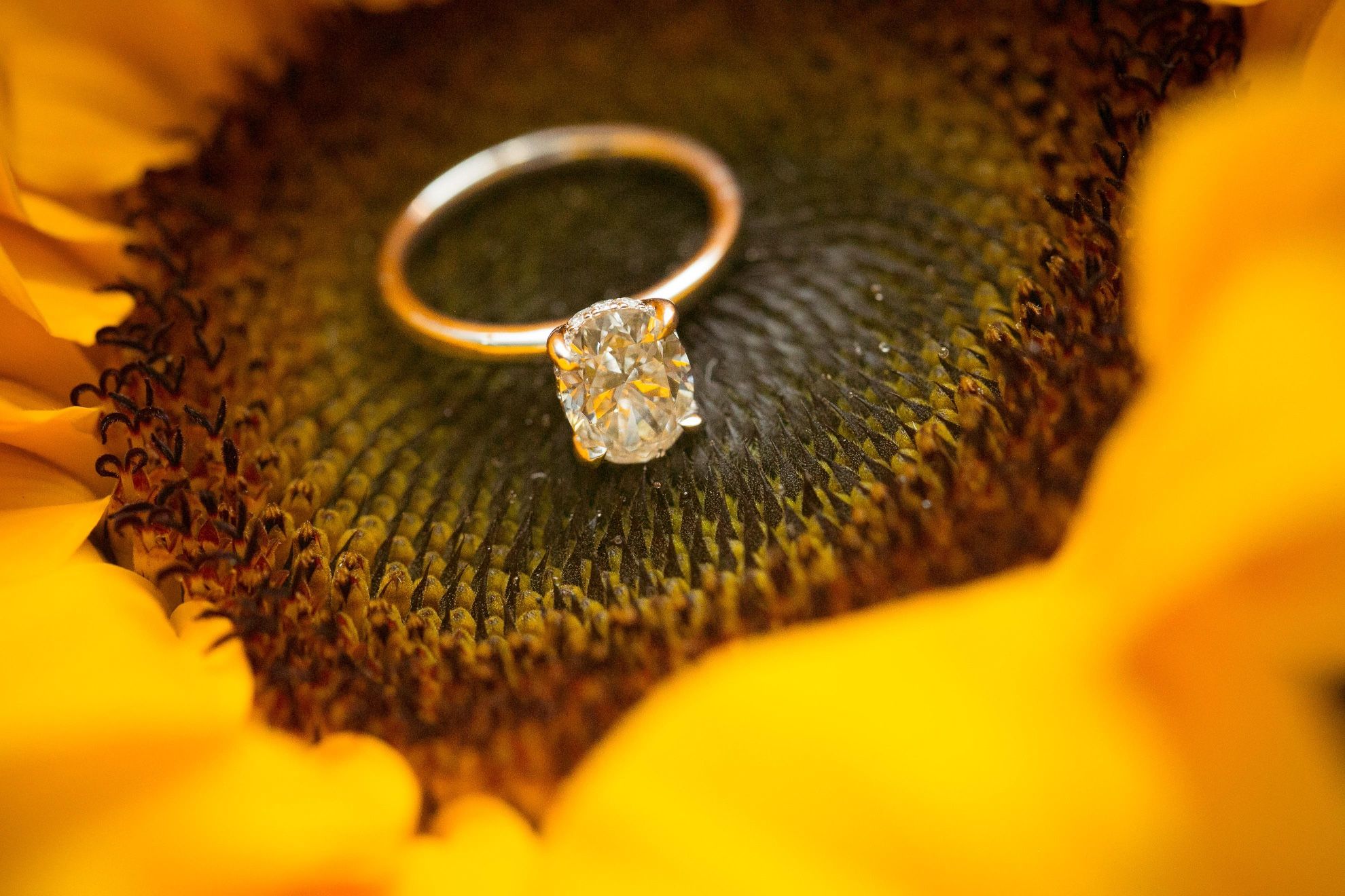 1.52 Carat Oval Brilliant GIA Diamond Ring