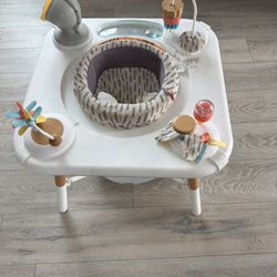 Skip Hop Activity Center 