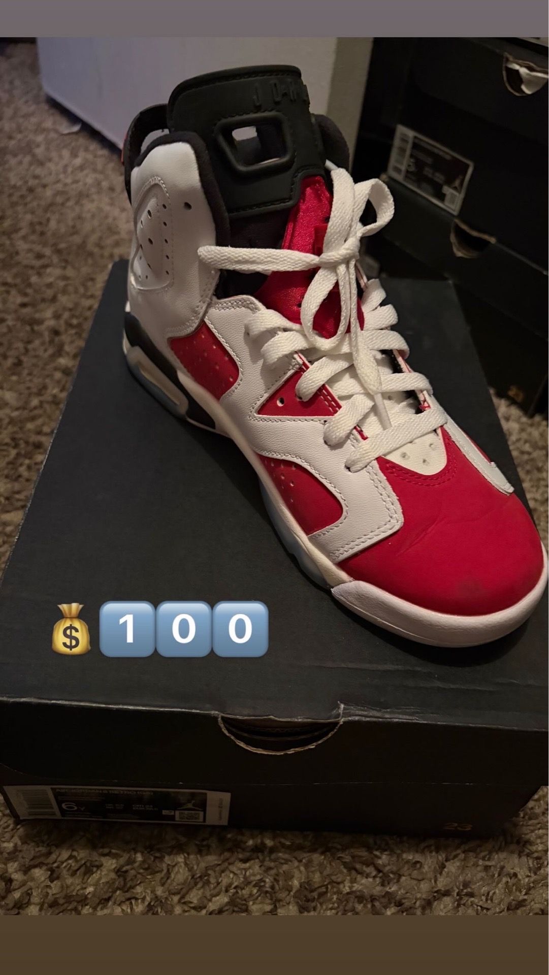 Jordan 6s