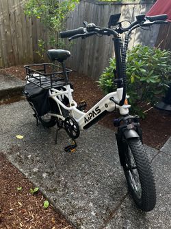 Cargo e-bike