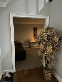 Faux Japanese Maple Tree & Large Antique Mirror ****Great condition ***