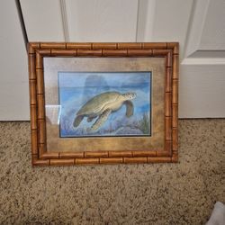 Framed Print Of A Sea Turttle