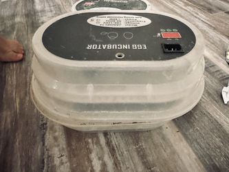 Egg Incubator