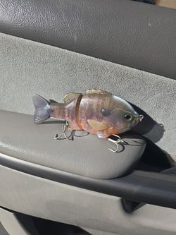 Bull Shooter Glide Bait Like New