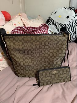 Coach bag and wallet