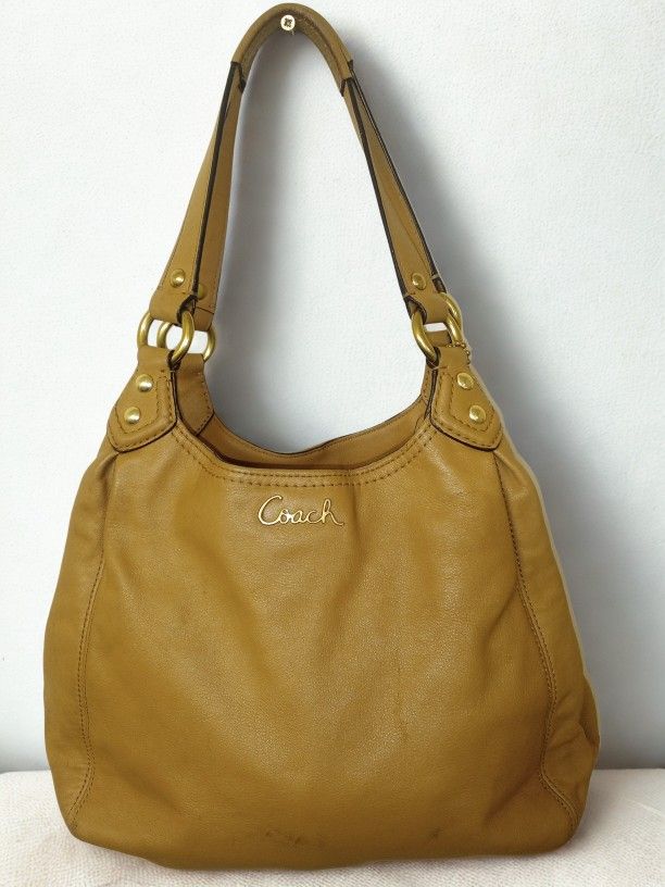 Coach Ashley Hobo Bag