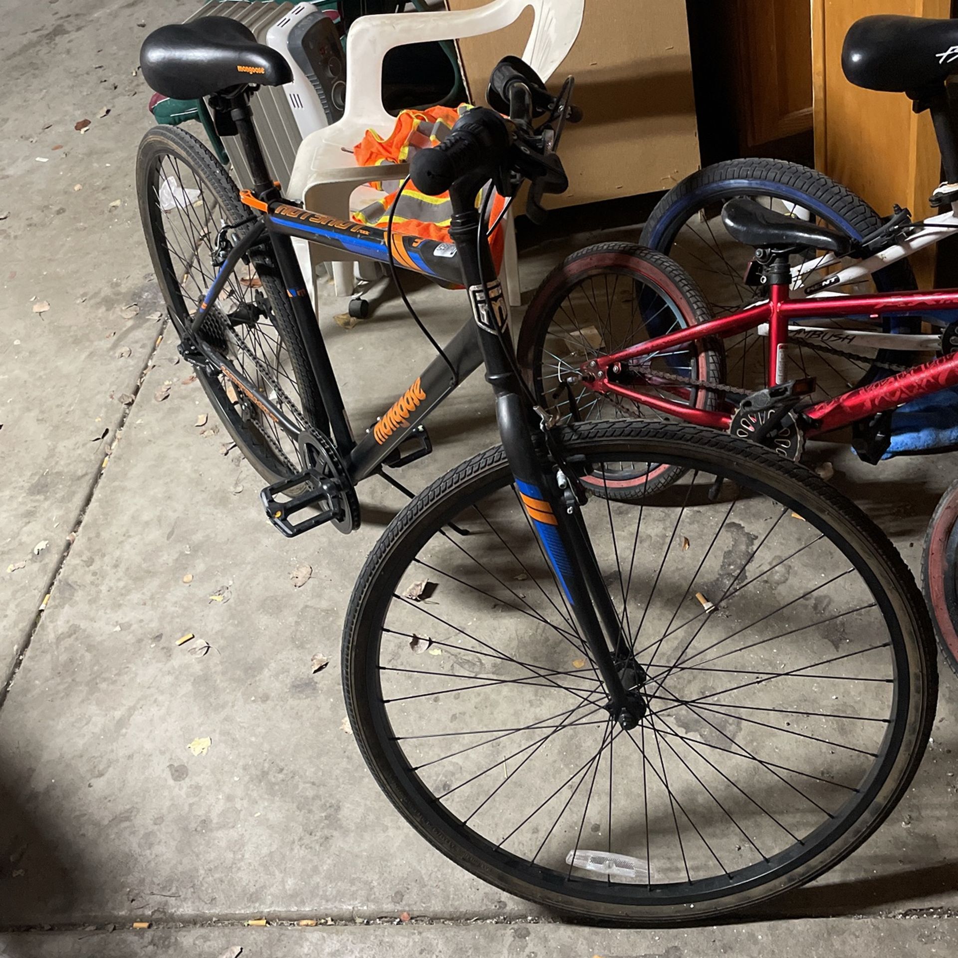 Hotshot Mongoose