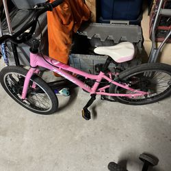 Trek Pink Bike