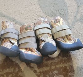 Dog Boots