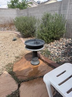Bird bath