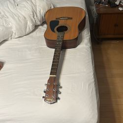 Fender Acoustic DG-8S Nat 