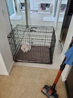 Dog cage (dog not Included)