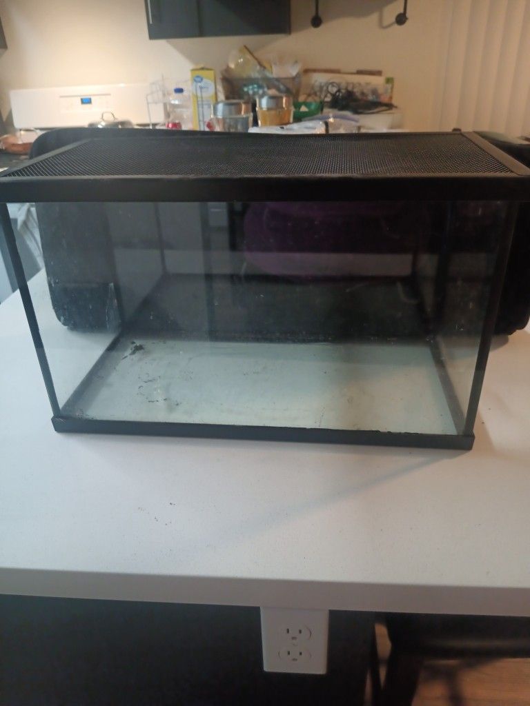 Everything You Need For A Fish Tank Or A Reptile Acarium