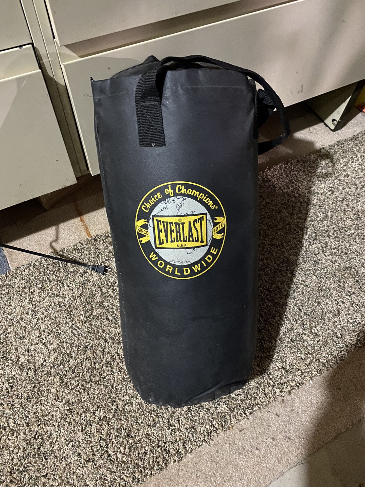 Everlast Punching Bag