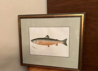 Vintage Denton Fish Print Framed