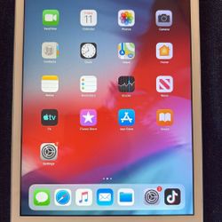 iPad Mini 2