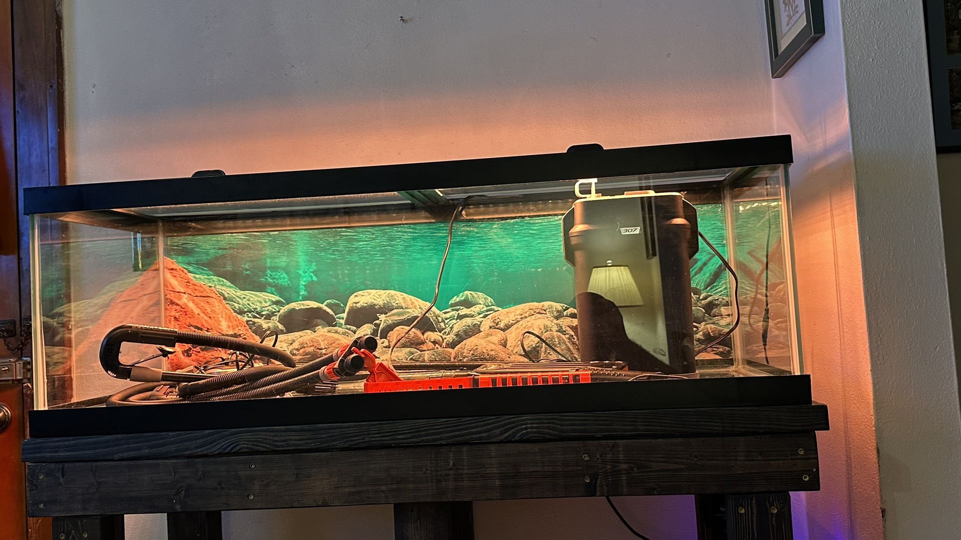 60 Gallon Fish Tank 