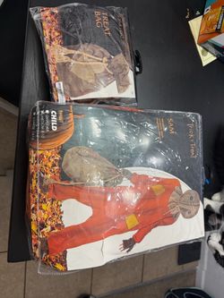 Sam costume