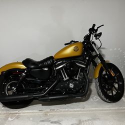 2019 Harley Davidson Sportster-Iron 883