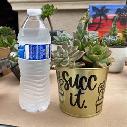 Succ It