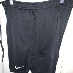 Men’s Nike Dri-Fit Workout Shorts