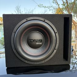 12 Inch Subwoofer 