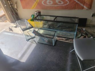 Aquarium s