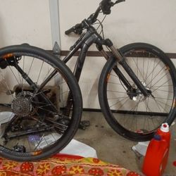 TREK Mountain Bike  Disk Brakes Diamondback Rhymes 
