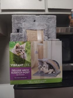 Cat Scratching Post