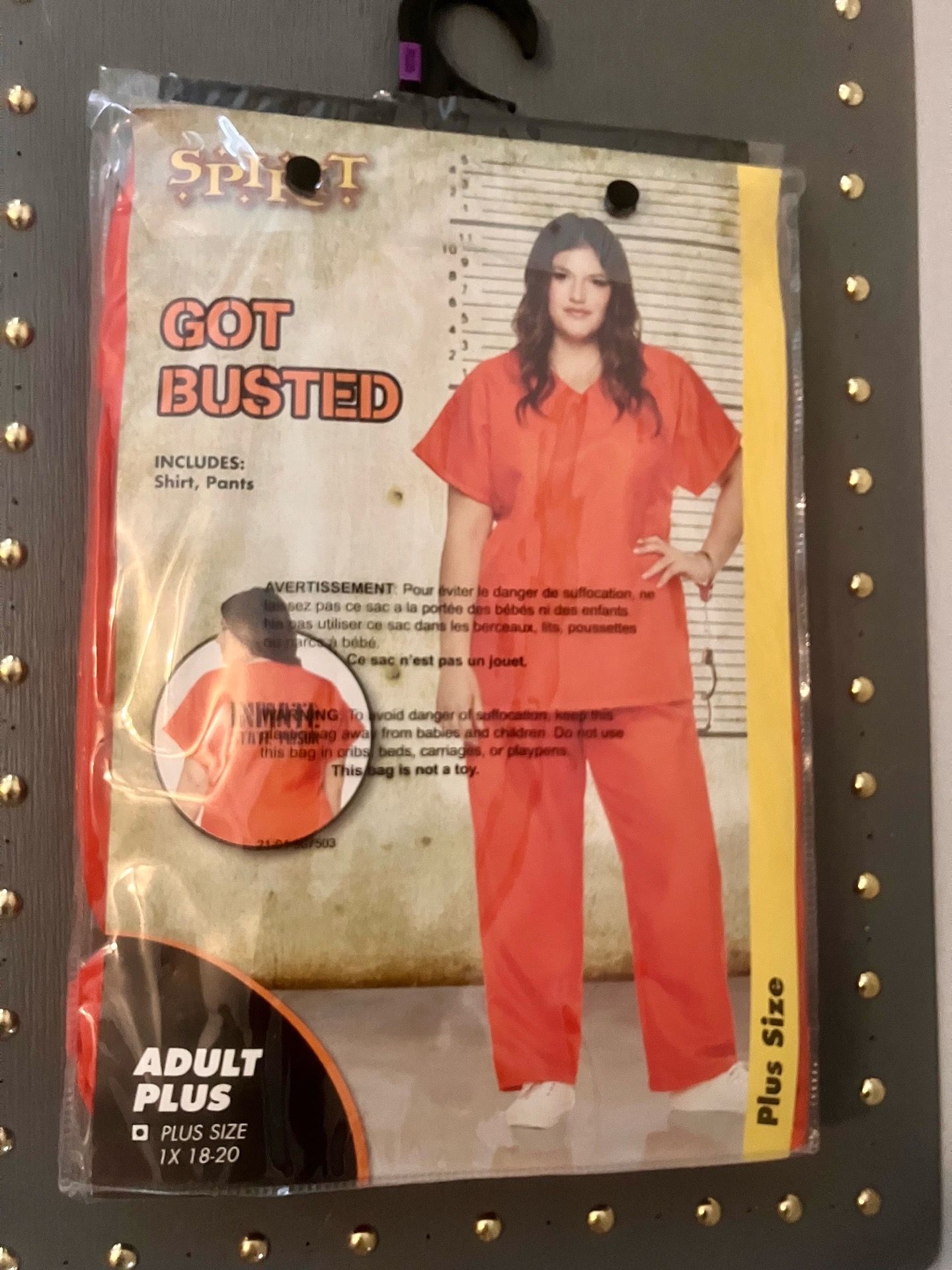 New Women’s “Inmate Costume”