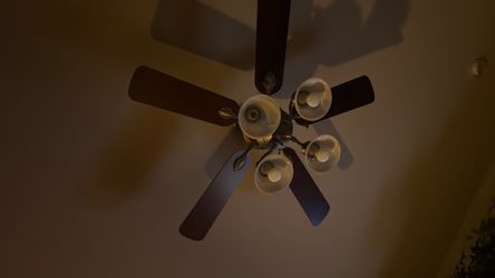 Ceiling fan