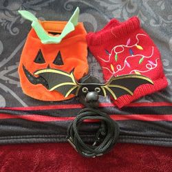 Bearded Dragon Clothes