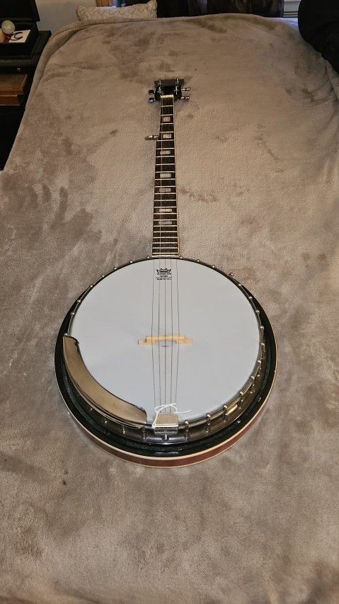 Remo 5 String Banjo